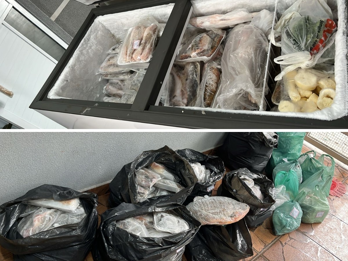 Americana: Polícia Militar Ambiental apreende mais de 200 kg de peixes em comércio ilegal
