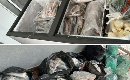 Americana: Polícia Militar Ambiental apreende mais de 200 kg de peixes em comércio ilegal