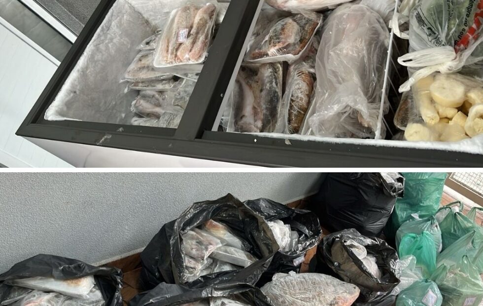 Americana: Polícia Militar Ambiental apreende mais de 200 kg de peixes em comércio ilegal