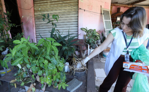 campinas-A-Secretaria-de-Saude-de-Campinas-Dengue-202605