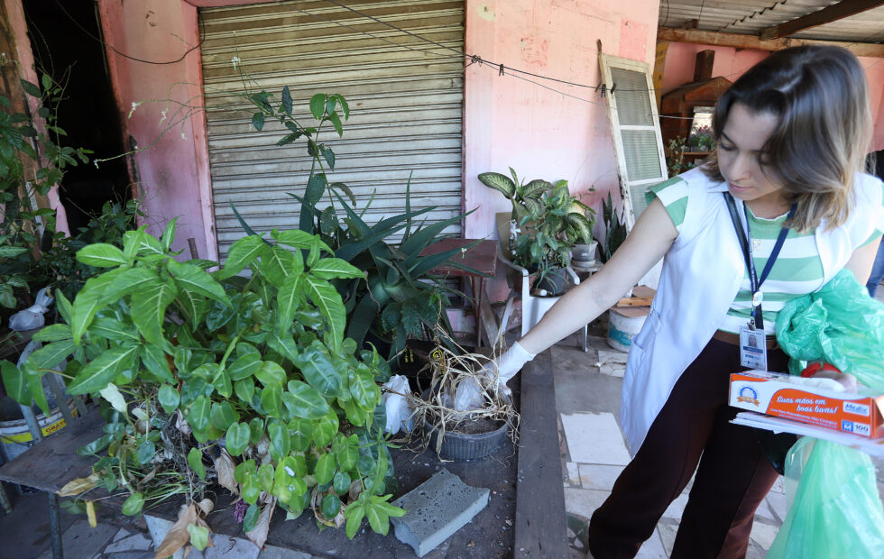 campinas-A-Secretaria-de-Saude-de-Campinas-Dengue-202605